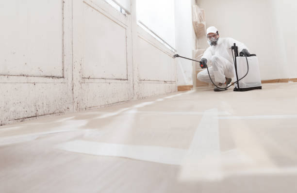 24/7 Emergency Basement Mold Remediation experts in Scotch Plains, NJ